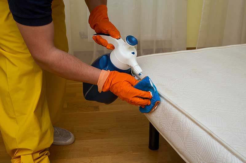 mattress deodorizer sanitizer